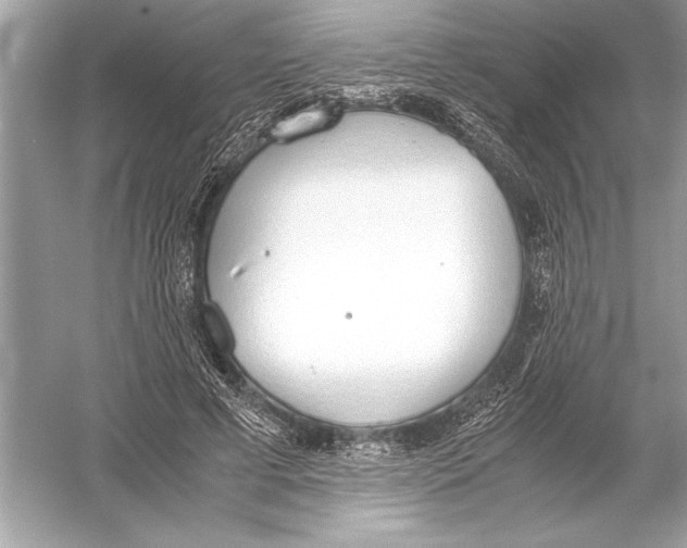 X0000051910593200507222110