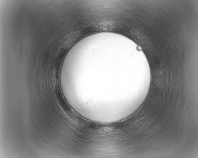 X0000051910594200507222110