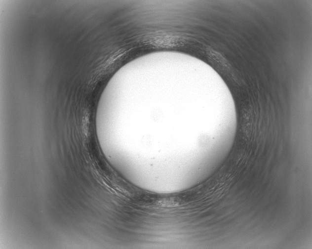 X0000051910596200507222110