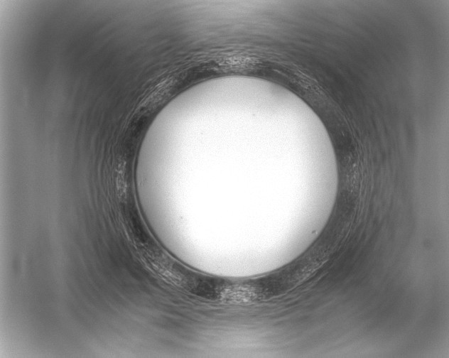 X0000051910599200507222110