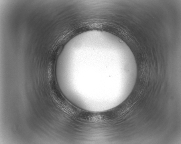 X0000051910600200507222110