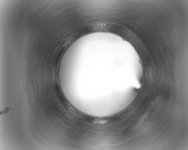 X0000051910602200507222110