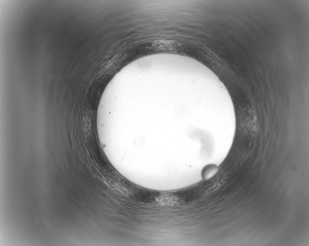 X0000051910603200507222110