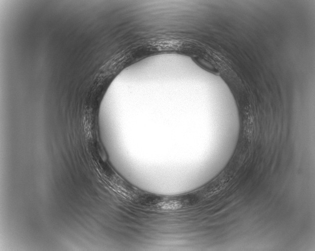 X0000051910604200507222110