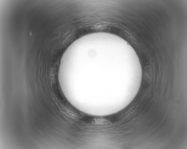 X0000051910605200507222110