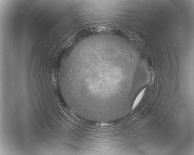 X0000051910607200507222110