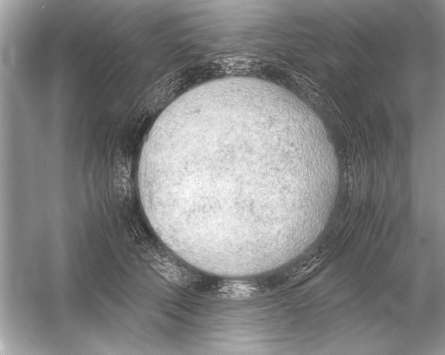 X0000051910610200507222110