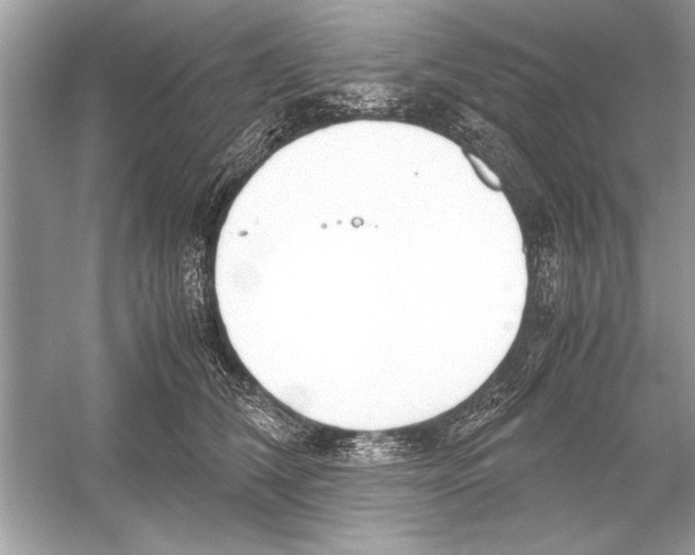 X0000051910612200507222110