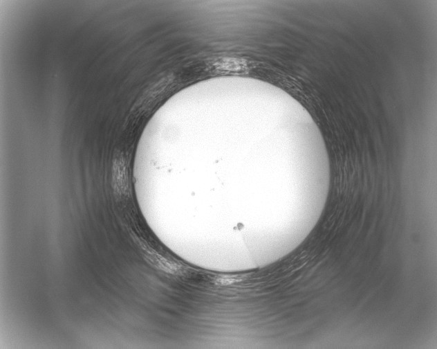 X0000051910614200507222110