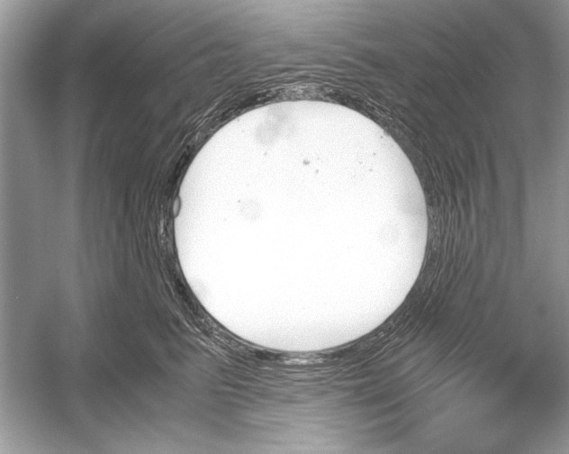 X0000051910615200507222110