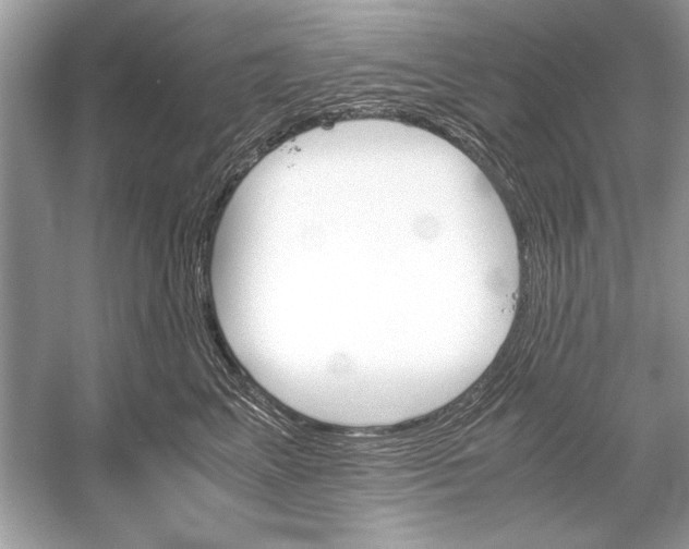 X0000051910617200507222110