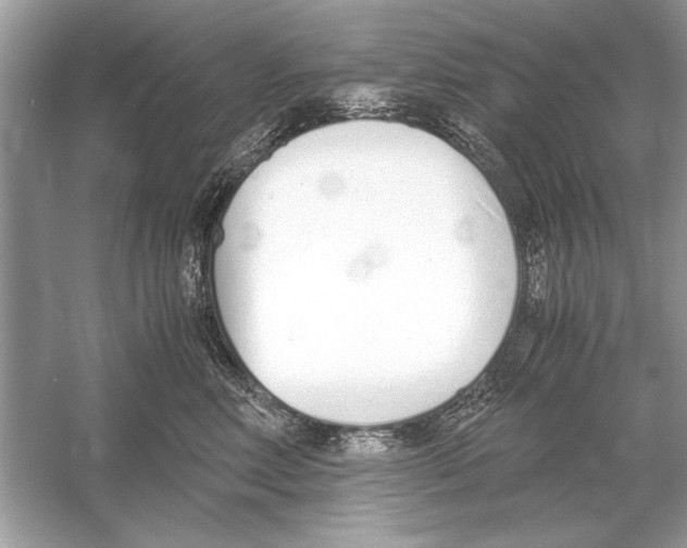 X0000051910618200507222110