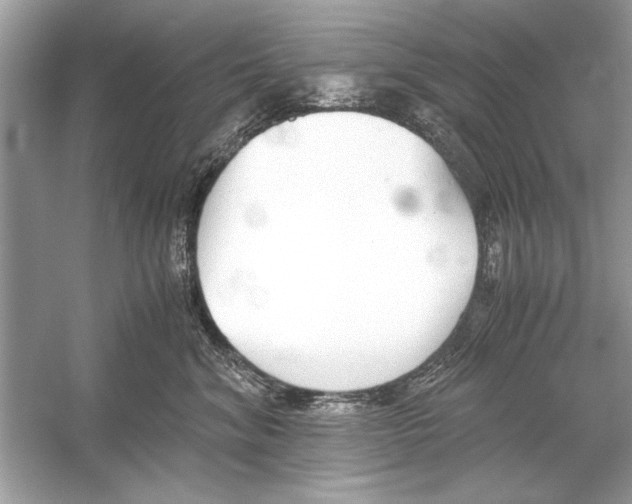 X0000051910620200507222110