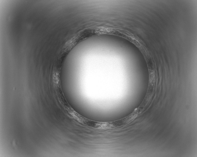 X0000051910621200507222110