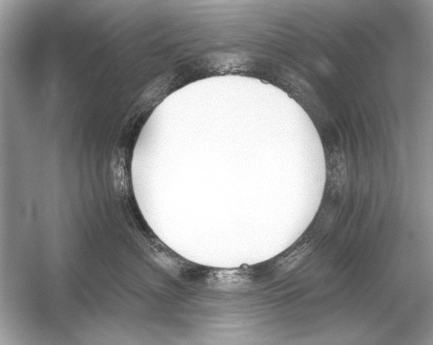 X0000051910622200507222110