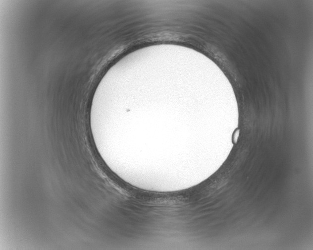 X0000051910625200507222109