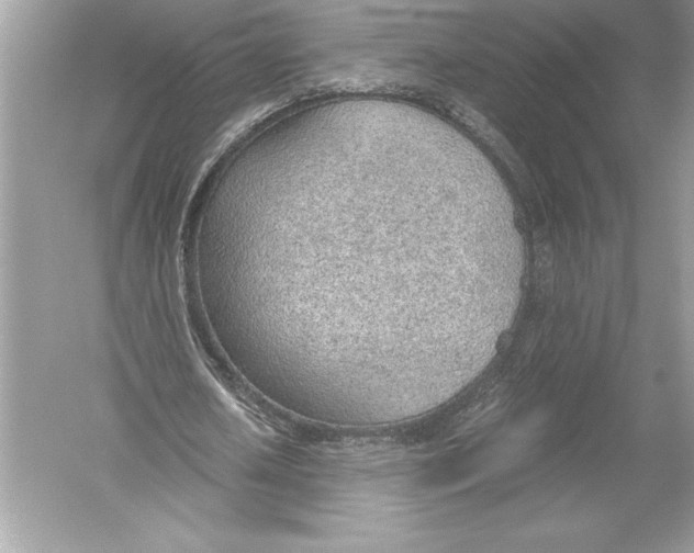 X0000051910626200507222109