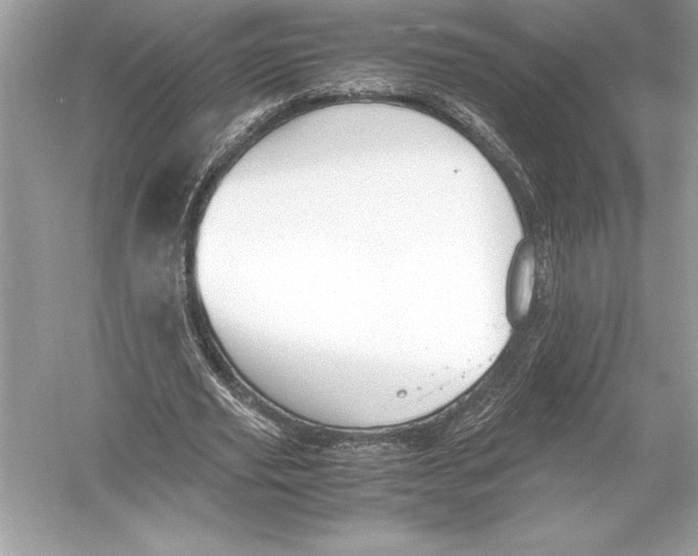 X0000051910629200507222109