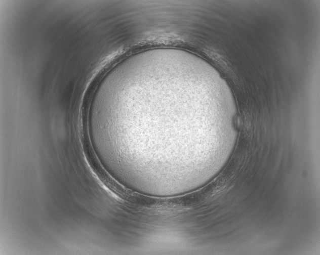 X0000051910630200507222109