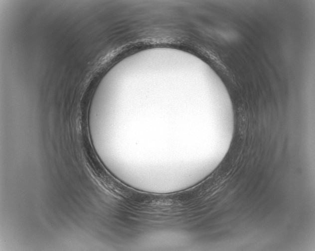 X0000051910631200507222109