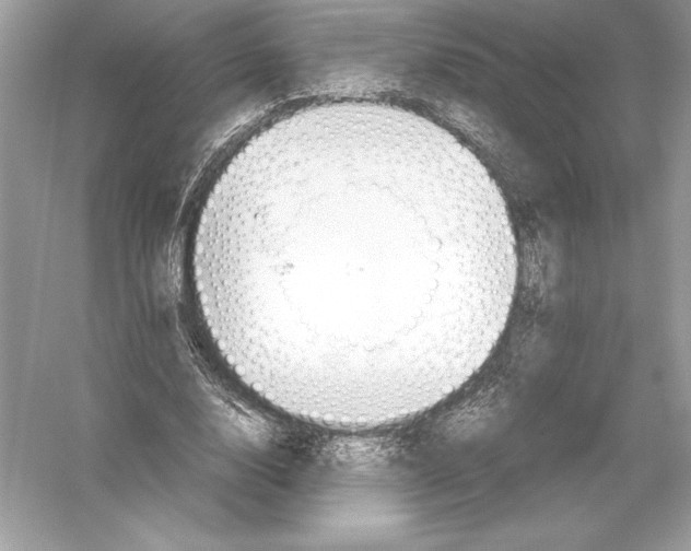 X0000051910632200507222109