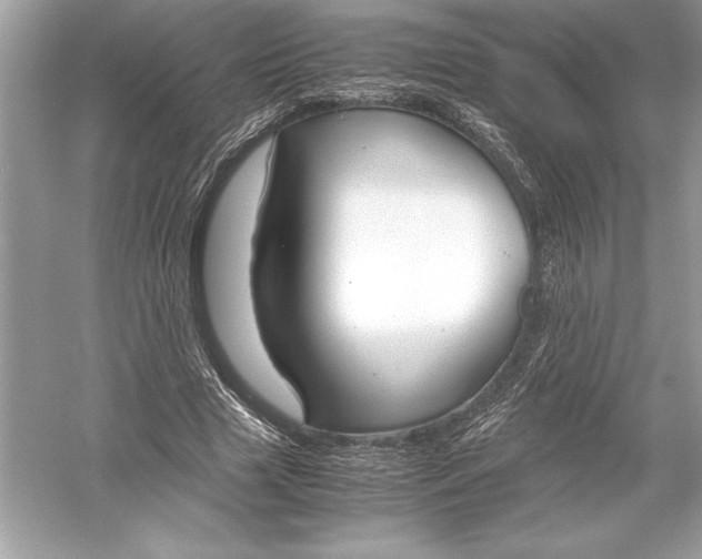 X0000051910633200507222109