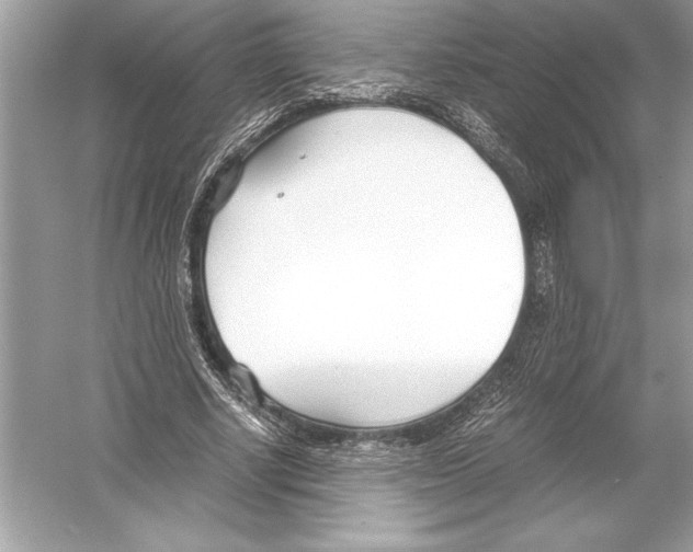 X0000051910634200507222109