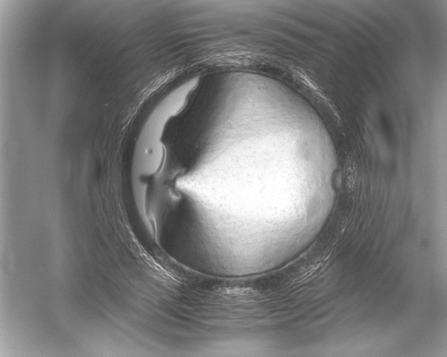 X0000051910637200507222109