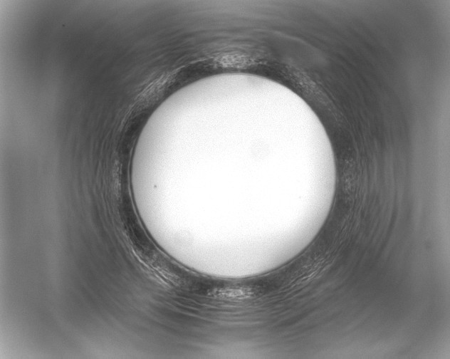 X0000051910639200507222109