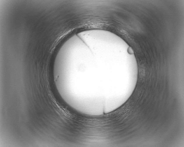 X0000051910640200507222109