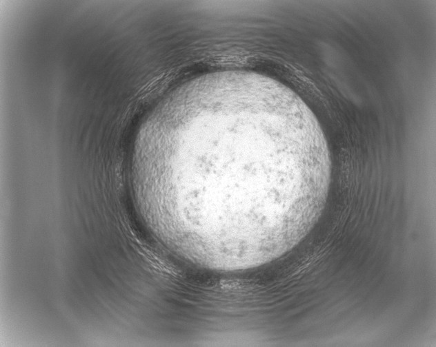 X0000051910641200507222109