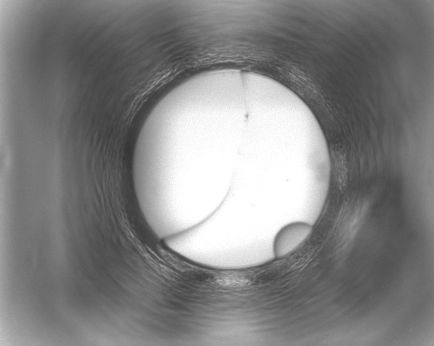 X0000051910644200507222109