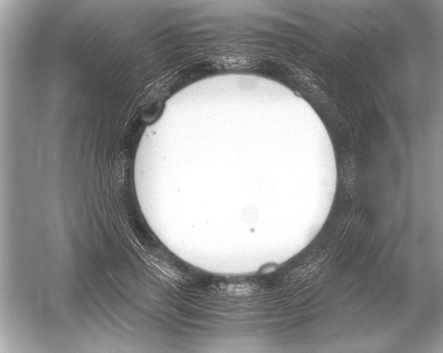 X0000051910645200507222109