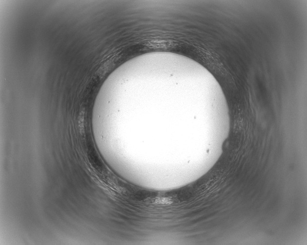 X0000051910647200507222109