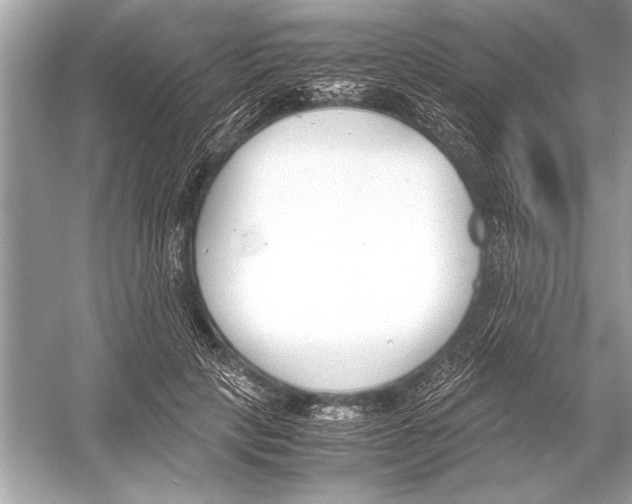 X0000051910649200507222109