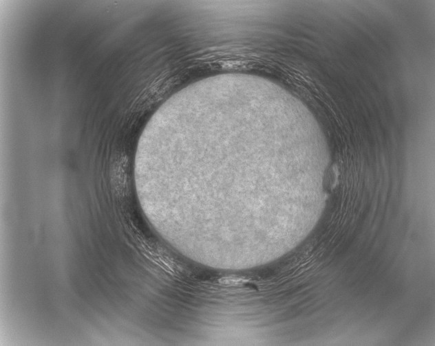 X0000051910650200507222109