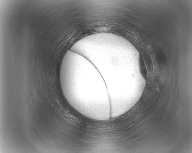 X0000051910652200507222109