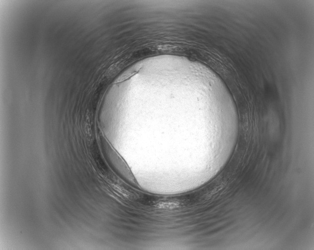 X0000051910653200507222109