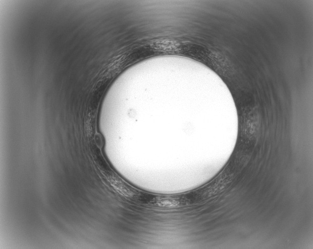 X0000051910658200507222109