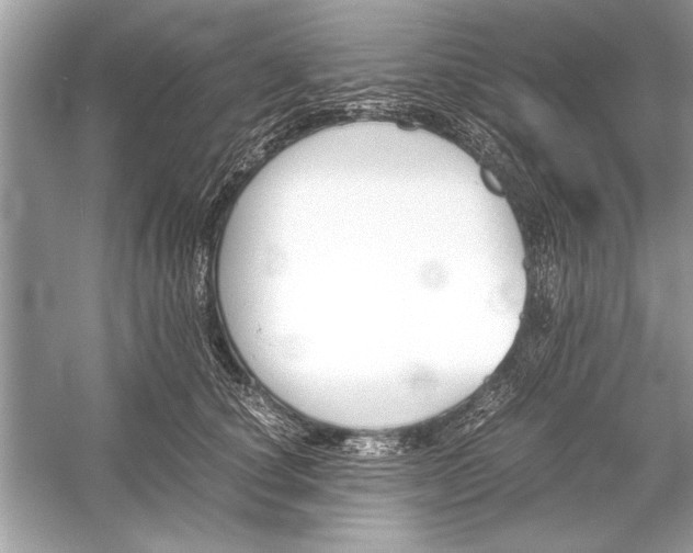 X0000051910660200507222109