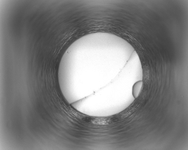 X0000051910661200507222109