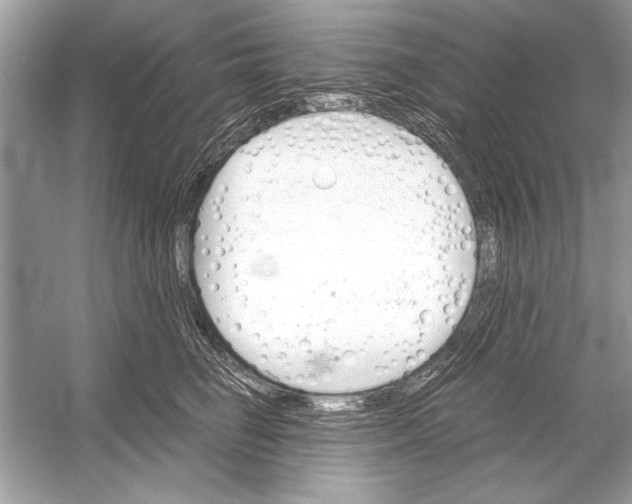 X0000051910662200507222109