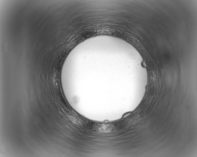 X0000051910663200507222109