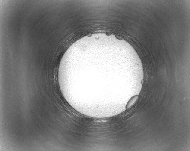 X0000051910665200507222109