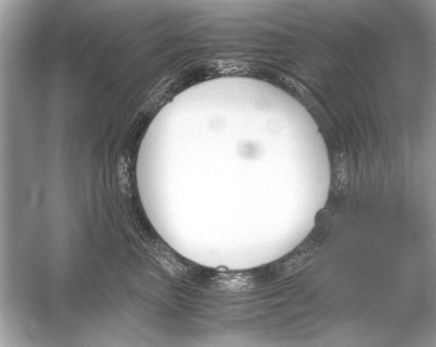 X0000051910667200507222110