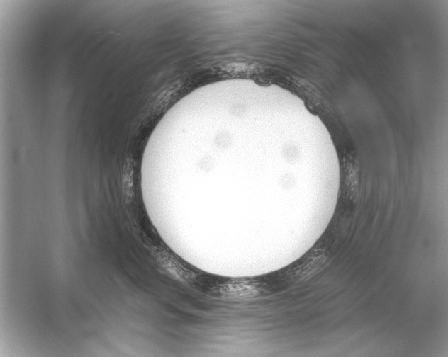 X0000051910668200507222110