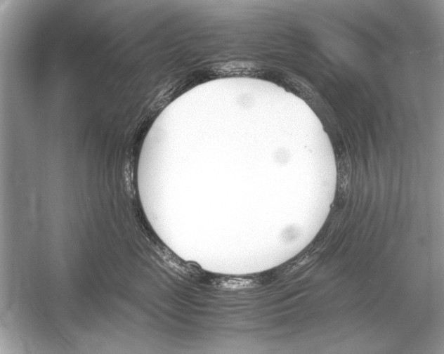 X0000051910669200507222110