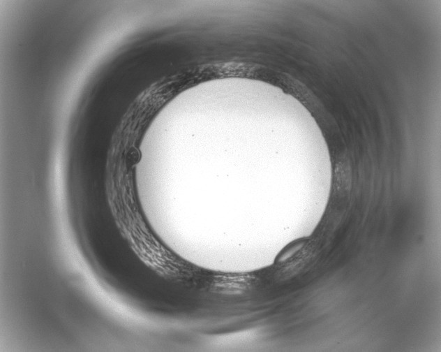 X0000051910671200507222110