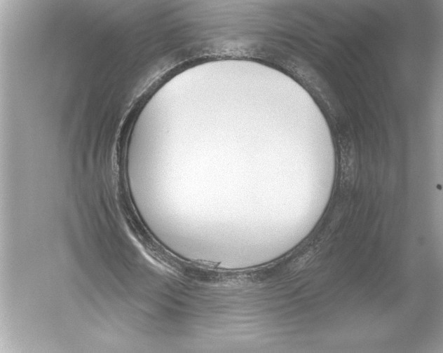 X0000051910674200507222109