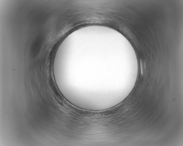 X0000051910675200507222109